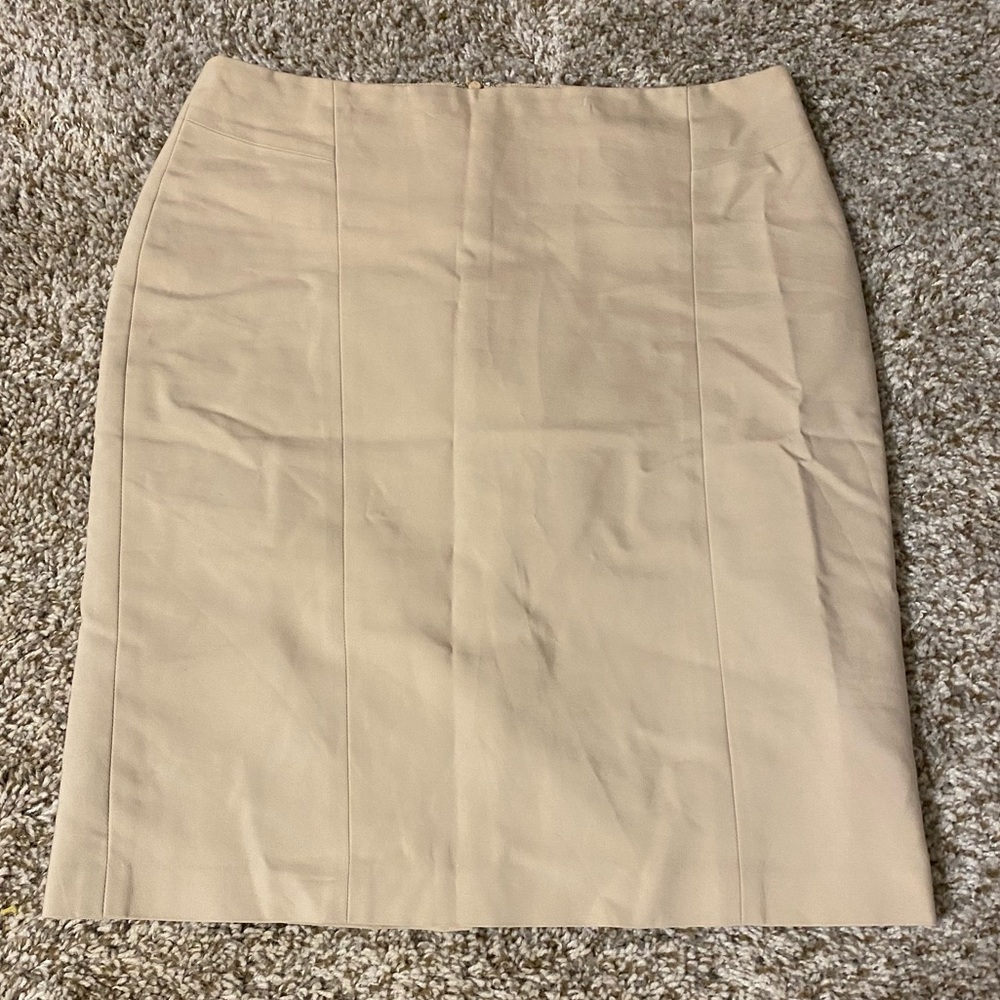 Ann Taylor Skirt